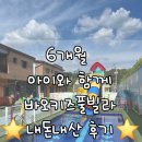 바오키즈풀빌라B | [내돈내산]가평 바오키즈풀빌라 6개월 아이와 함께 A102숙소 가격 솔직후기
