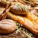 네오피티 운동센터 이미지