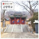 대양로285번길 이미지