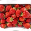 정은농장 이미지