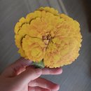 왕비전하뼈감자탕 | 천관 덕톡회