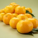 풍년마트 이미지