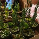 생명농장 이미지