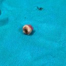 서울호치과의원 이미지