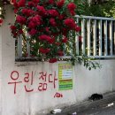 세류3 147-19 | [호주 워홀 in 멜버른] 141-147일 : 일상에 따뜻함 불어 넣기