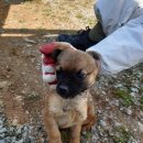 벌교여자고등학교 이미지