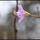 명암약수터 이미지