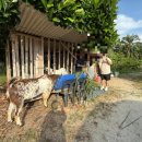 사무엘농장 이미지