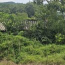 취적헌(取適軒) 이미지