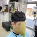 헤어두비취 이미지