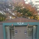 뿌리공원 확장지역 공중화장실 | 공중 화장실 기능성 줄눈 시공 업체 찾는다면