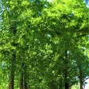 화수공원 이미지