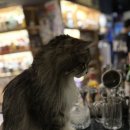 영등포 한신포차 이미지