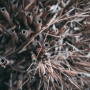 성호전기 이미지