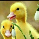 광명빌딩 이미지