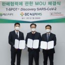 홀릭엠에스