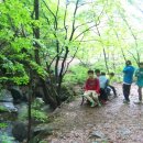 새소리물소리 이미지