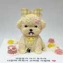 멍멍이츠 이미지