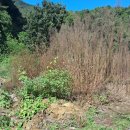 장연면사무소 이미지