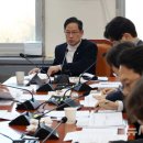 박수영 카카오 검색결과