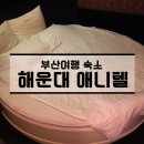 애니텔모텔 이미지