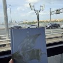 한강중고 - 고양시 덕양구 용두로 99 | 한강- '채식주의자' 후기 및 주관적 해석