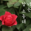 조이테라피 이미지