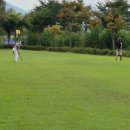 조경희 골프 | [2025 MBN-화천군] 암 극복 건강 전국 파크골프대회 성황리 종료!