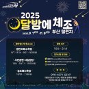 스텝박스 체조 | 광안리 놀거리 2025 달밤에 체조 심으뜸과 즐거웠던 운동(일정, 라인업, 신청방법)