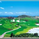 여주-0004 이미지