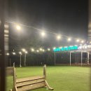 내도운동장 | 파주 애견카페&amp;식당 추천 [독스테이션] 강아지 운동장부터 식사까지 즐기기