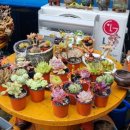 섬지기펜션 이미지