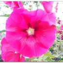 송현여자중학교 이미지