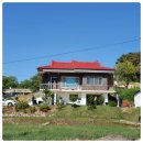 수 인테리어 이미지