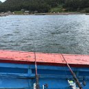 만선당약국 | 남해 만선호선상낚시 솔직 체험후기🎣