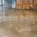 옐로우콘크리트