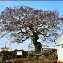 강태여할망민박 이미지