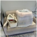 드림독 강아지분양 안심분양센터 부천점 이미지