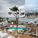 씨유 언양블루 | 울산여행 코스 추천 | 간절곶 + 시선310 + 바다시네마뷰 그릿비 + 언양불고기 + 신라스테이 울산 후기