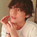 펫토피아 이미지