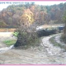 속초초 월운분교장 이미지