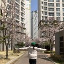 메드칼약국 이미지