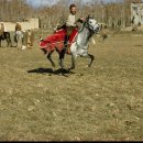 Nature mood house 이미지