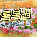 황룡복권 이미지