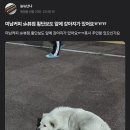 미남커피 평택역sk뷰점 이미지