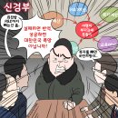 시사만평 11월 27일- 신검부, 이미지