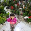 조은꽃식물원 이미지