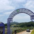 동호농장 | 보랏빛 라벤더축제가 열리는 고창 청농원 다녀온 후기