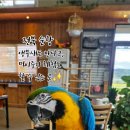 순창 앵무새팜 이미지