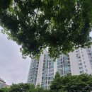 달리는공인중개사사무소 이미지